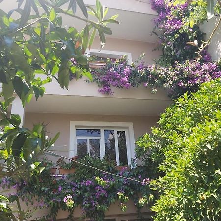 Flowers Guesthouse Τίρανα Εξωτερικό φωτογραφία