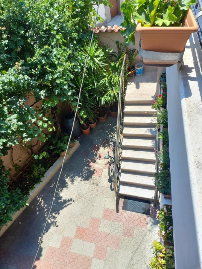 Flowers Guesthouse Τίρανα Εξωτερικό φωτογραφία