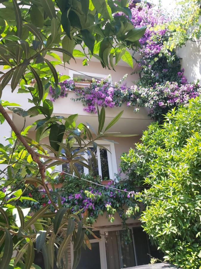 Flowers Guesthouse Τίρανα Εξωτερικό φωτογραφία
